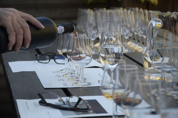 mejor vino para principiantes